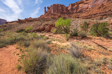 hiking the syncline loop trail in island in the sky district of canyonlands national park, utah, usa