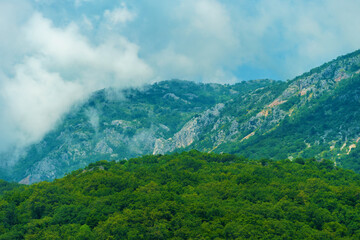 Obraz premium beautiful landscape in the mountains, clouds, forest on the hillsides