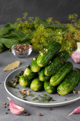 Homemade organic lightly salted cucumbers with pepper, garlic, dill and vinegar on gray plate