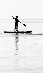 silhouette of sup on the sea