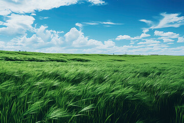 Beautiful green field with cloudy sky. Generative AI