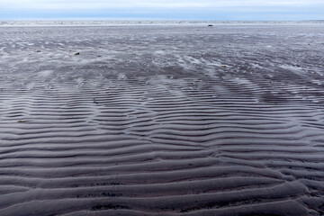 Northern seascape. Tersky coast of the White Sea. Murmansk region, Russia. The White Sea coast in Karelia in summer. Low tide. Littoral.
