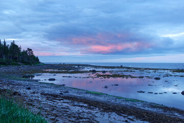 Northern seascape. Tersky coast of the White Sea. Murmansk region, Russia. The White Sea coast in Karelia in summer. Low tide. Littoral.