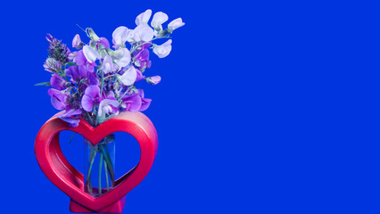 Duftende Platterbese - Lathyrus odoratus - Strauß mit roter Herzvase