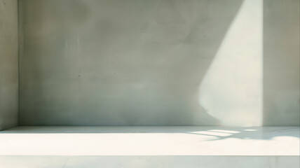 Empty Gray Wall Room interiors Studio Concrete Backdrop and Floor cement Shelf,