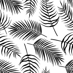 Seamless pattern of tropical leaves of palm tree, Arecaceae leaf. Exotic collection of silhouette plant. Hand drawn botanical vector illustration for greeting card, wallpaper, wrapping paper, fabric