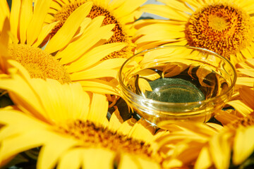 Sunflower oil in glass bowl and yellow sunflower flowers around, food ingredient