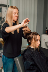 Fototapeta premium A hairdresser cuts a blonde's hair in a beauty salon. Women's haircut