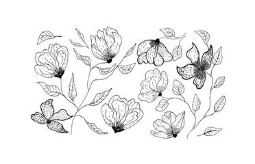 Roses, peonies, lilly hand drawn vector set. Black doodle paint flower silhouettes with leaves. Floral drawings collection.