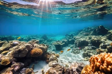 Foto op Plexiglas Fish swimming in coral reef under deep blue sea and amazing view of undersea. © OKAN