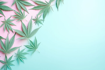 Fresh cannabis leaves lay on a flat surface with copy space for text. Light pastel green and pink colors. Marijuana banner template.