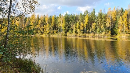 Birch and alder trees grow on the lake shore, reeds grow in the water, trees with yellow fall foliage grow on the opposite shore. The reflection of the trees and ripples on the water.  Sunny