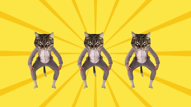 Creative design with funny cats in pajamas dancing against yellow background. Stop motion, animation. Concept of party, surrealism, creative vision, fun and joy, disco, animal theme
