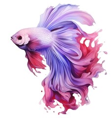 Fototapeta premium Beautiful siamese fish isolated