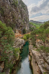 Fototapeta na wymiar images of canyon and running water surrounded by greenery