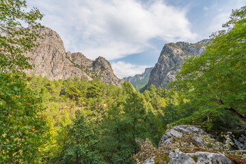 images of canyon and running water surrounded by greenery