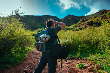 Man hiking in the mountains with shih tzu dog in a backpack