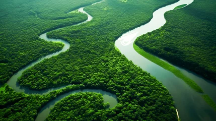 Tuinposter Mangrove forest from a height, aerial view of a mountain river in the forest. beautiful summer landscape.. ai generation © Sergii