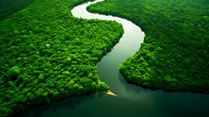 Keuken spatwand met foto Mangrove forest from a height, aerial view of a mountain river in the forest. beautiful summer landscape.. ai generation © Sergii