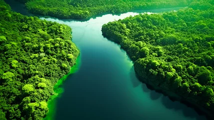 Foto auf Acrylglas Grün Mangrove forest from a height, aerial view of a mountain river in the forest. beautiful summer landscape.. ai generation