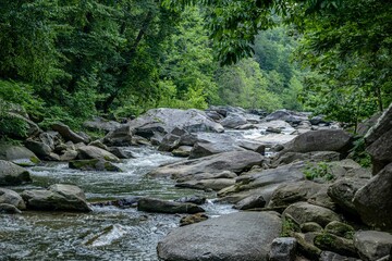 hickory nut falls