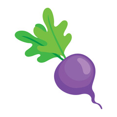 radish vegetable icon isolated