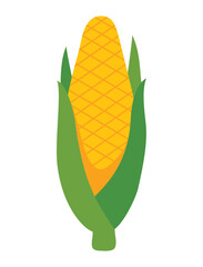 corn vegetable icon isolated