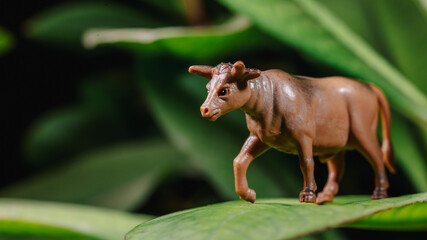 animales miniatura, toros , vacas, pollos, chivos sobre tierra y sobre hojas naturales, concepto de...