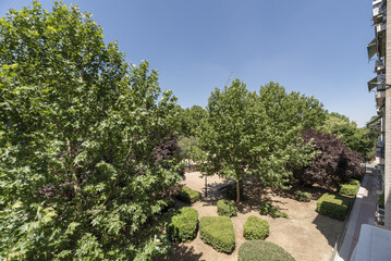 An urban park with a lot of leafy trees