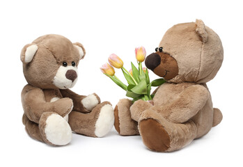 Cute teddy bears with beautiful tulips isolated on white