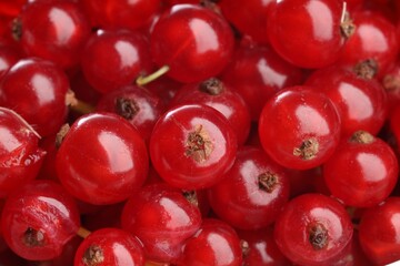 Many tasty fresh red currants as background, closeup