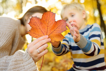 Little boy and his mother having fun during stroll in the forest at sunny autumn day. Child and mom...