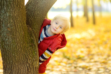 Close up portrait of glad little boy during stroll in the forest at sunny autumn day