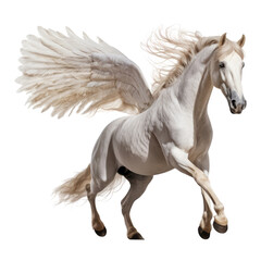 Obraz na płótnie Canvas wing horse isolated on transparent background cutout
