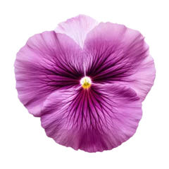 Foto op Aluminium purple flower isolated on transparent background cutout © Papugrat