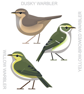Cute Bird Dusky Warbler Set Cartoon Vector