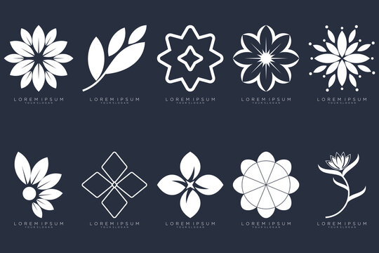 Floral ornament logo. Abstract beauty flower set logo design collection
