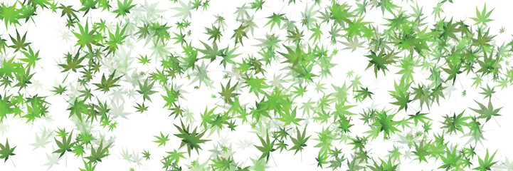 もみじ　葉　暑中見舞い　背景