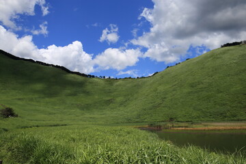 Scenery of a grass carpet on the Soni Plateau in Nara Prefecture, Japan