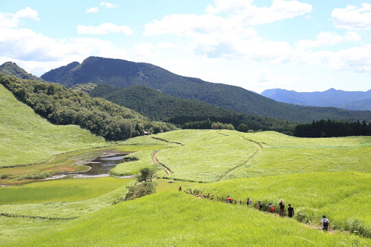Scenery of a grass carpet on the Soni Plateau in Nara Prefecture, Japan