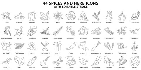 Spices And Herbs icons. Spices icon set. Herb icon set. Line icons. Vector Illustration. Editable Stroke.