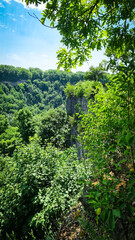High cliff  in green forest in summer