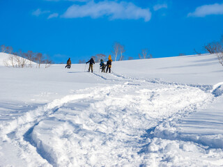People walking through snowfields with snowboards on their backs (Niseko, Hokkaido, Japan)