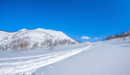 Fototapeta na wymiar Ski tracks on a snow covered field (Niseko, Hokkaido, Japan)
