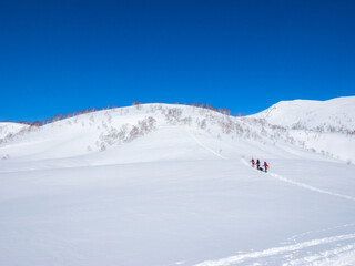 Fototapeta na wymiar People walking through snowfields with snowboards on their backs (Niseko, Hokkaido, Japan)