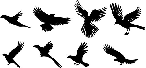 flying bird silhouettes set