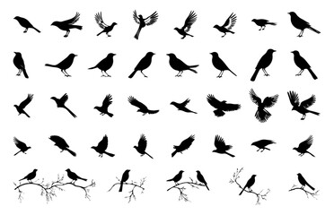 Fototapeta na wymiar bird silhouettes element set collection for icon logo