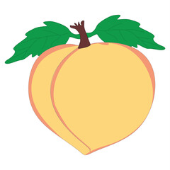 Peach Fruit