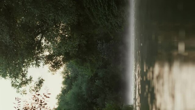 Сalm mountain river in the morning dense fog camera at water level. Vertical video