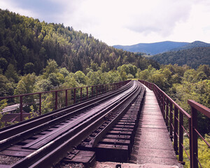 Fototapeta na wymiar View on railway bridge above the Prut river. Yaremche, Ukraine